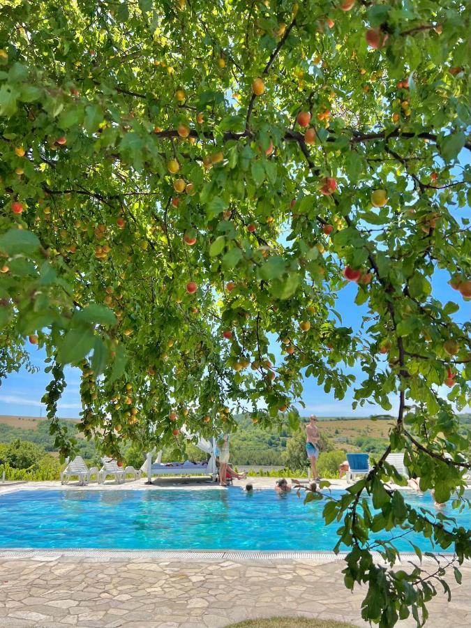 Hotel Hilltop Borbirtok&Étterem à Neszmély Extérieur photo